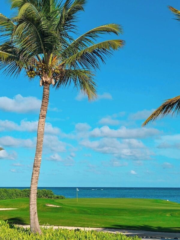 punta cana bavaro